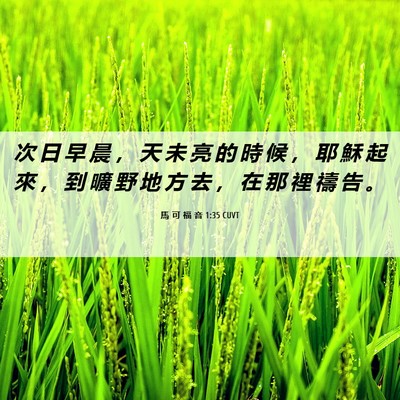 Picture 06 - 馬 可 福 音 1:35 CUVT - 次 日 早 晨 ， 天 未 亮 的 時 候 ， - Bible Verse Picture