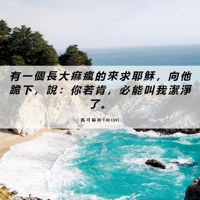 Picture 06 - 馬 可 福 音 1:40 CUVT - 有 一 個 長 大 痲 瘋 的 來 求 耶 穌 - Bible Verse Picture