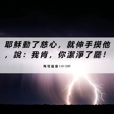 Picture 06 - 馬 可 福 音 1:41 CUVT - 耶 穌 動 了 慈 心 ， 就 伸 手 摸 他 - Bible Verse Picture