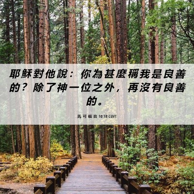 Picture 06 - 馬 可 福 音 10:18 CUVT - 耶 穌 對 他 說 ： 你 為 甚 麼 稱 我 - Bible Verse Picture