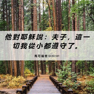 Picture 06 - 馬 可 福 音 10:20 CUVT - 他 對 耶 穌 說 ： 夫 子 ， 這 一 切 - Bible Verse Picture
