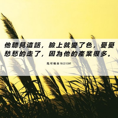Picture 06 - 馬 可 福 音 10:22 CUVT - 他 聽 見 這 話 ， 臉 上 就 變 了 色 - Bible Verse Picture