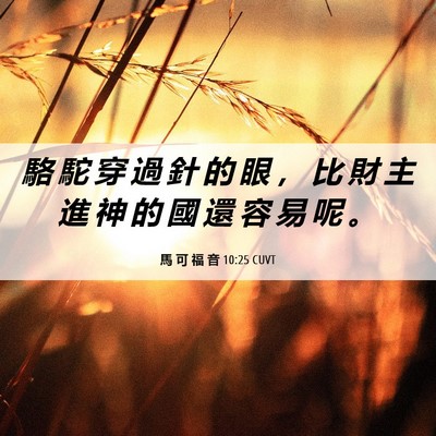 Picture 06 - 馬 可 福 音 10:25 CUVT - 駱 駝 穿 過 針 的 眼 ， 比 財 主 進 - Bible Verse Picture