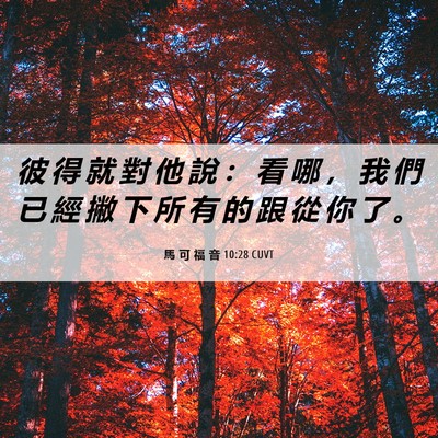 Picture 06 - 馬 可 福 音 10:28 CUVT - 彼 得 就 對 他 說 ： 看 哪 ， 我 們 - Bible Verse Picture