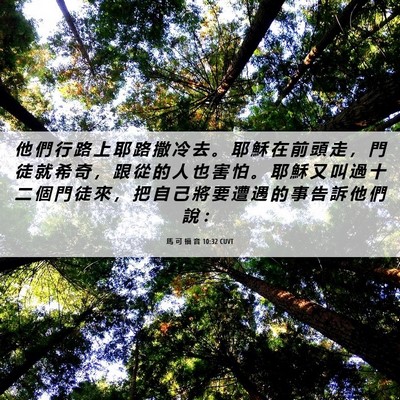 Picture 06 - 馬 可 福 音 10:32 CUVT - 他 們 行 路 上 耶 路 撒 冷 去 。 耶 - Bible Verse Picture