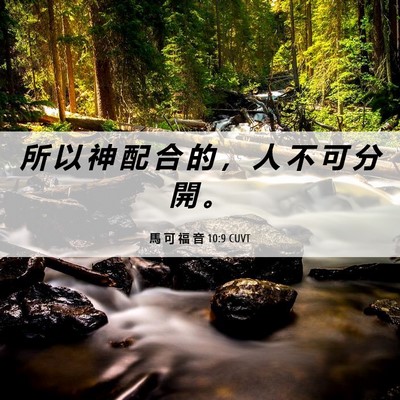 Picture 06 - 馬 可 福 音 10:9 CUVT - 所 以 神 配 合 的 ， 人 不 可 分 開 - Bible Verse Picture