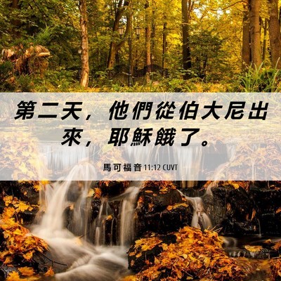 Picture 06 - 馬 可 福 音 11:12 CUVT - 第 二 天 ， 他 們 從 伯 大 尼 出 來 - Bible Verse Picture