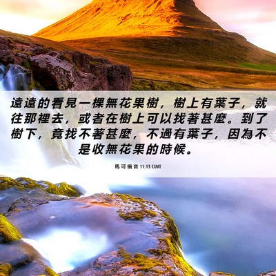 Picture 06 - 馬 可 福 音 11:13 CUVT - 遠 遠 的 看 見 一 棵 無 花 果 樹 ， - Bible Verse Picture