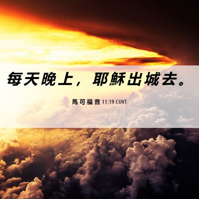 Picture 06 - 馬 可 福 音 11:19 CUVT - 每 天 晚 上 ， 耶 穌 出 城 去 - Bible Verse Picture