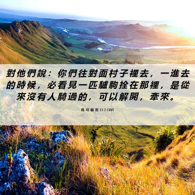Picture 06 - 馬 可 福 音 11:2 CUVT - 對 他 們 說 ： 你 們 往 對 面 村 子 - Bible Verse Picture