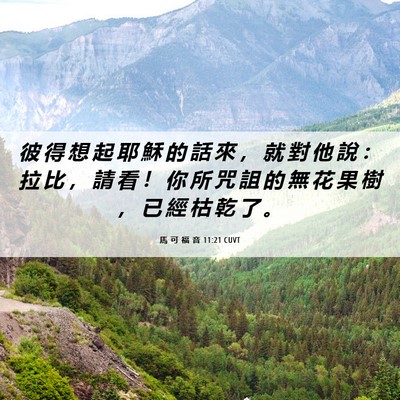 Picture 06 - 馬 可 福 音 11:21 CUVT - 彼 得 想 起 耶 穌 的 話 來 ， 就 對 - Bible Verse Picture