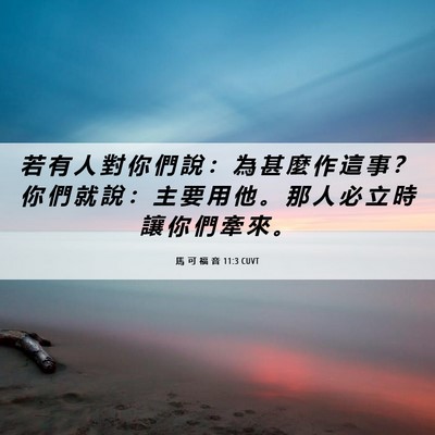 Picture 06 - 馬 可 福 音 11:3 CUVT - 若 有 人 對 你 們 說 ： 為 甚 麼 作 - Bible Verse Picture