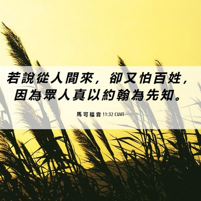 Picture 06 - 馬 可 福 音 11:32 CUVT - 若 說 從 人 間 來 ， 卻 又 怕 百 姓 - Bible Verse Picture