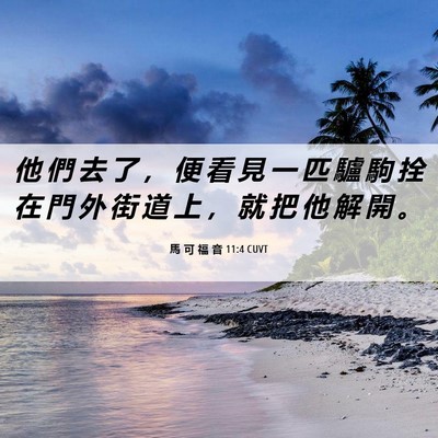 Picture 06 - 馬 可 福 音 11:4 CUVT - 他 們 去 了 ， 便 看 見 一 匹 驢 駒 - Bible Verse Picture