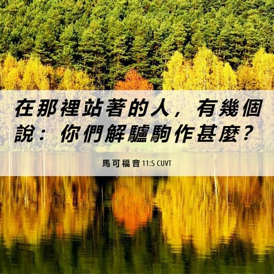 Picture 06 - 馬 可 福 音 11:5 CUVT - 在 那 裡 站 著 的 人 ， 有 幾 個 說 - Bible Verse Picture