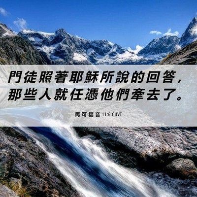 Picture 06 - 馬 可 福 音 11:6 CUVT - 門 徒 照 著 耶 穌 所 說 的 回 答 ， - Bible Verse Picture