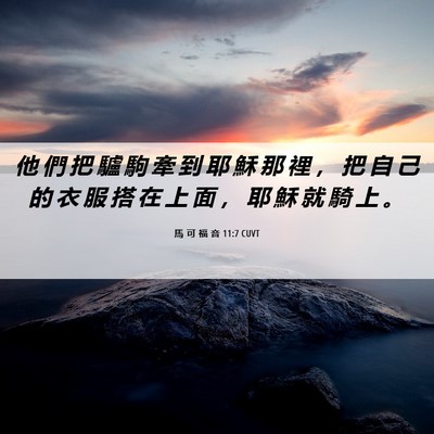 Picture 06 - 馬 可 福 音 11:7 CUVT - 他 們 把 驢 駒 牽 到 耶 穌 那 裡 ， - Bible Verse Picture