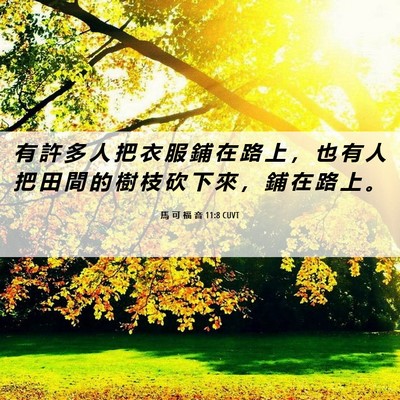 Picture 06 - 馬 可 福 音 11:8 CUVT - 有 許 多 人 把 衣 服 鋪 在 路 上 ， - Bible Verse Picture