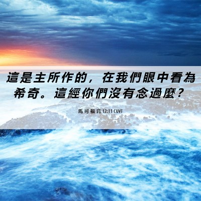 Picture 06 - 馬 可 福 音 12:11 CUVT - 這 是 主 所 作 的 ， 在 我 們 眼 中 - Bible Verse Picture