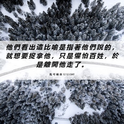 Picture 06 - 馬 可 福 音 12:12 CUVT - 他 們 看 出 這 比 喻 是 指 著 他 們 - Bible Verse Picture