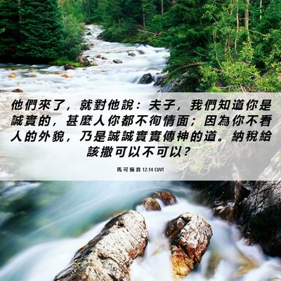 Picture 06 - 馬 可 福 音 12:14 CUVT - 他 們 來 了 ， 就 對 他 說 ： 夫 子 - Bible Verse Picture