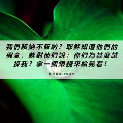 Picture 06 - 馬 可 福 音 12:15 CUVT - 我 們 該 納 不 該 納 ？ 耶 穌 知 道 - Bible Verse Picture