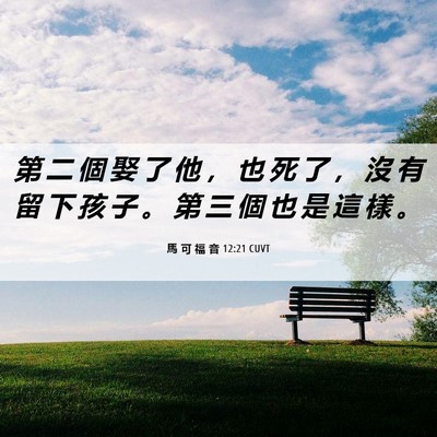 Picture 06 - 馬 可 福 音 12:21 CUVT - 第 二 個 娶 了 他 ， 也 死 了 ， 沒 - Bible Verse Picture