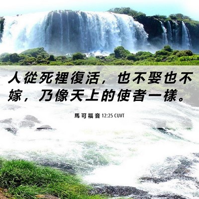 Picture 06 - 馬 可 福 音 12:25 CUVT - 人 從 死 裡 復 活 ， 也 不 娶 也 不 - Bible Verse Picture