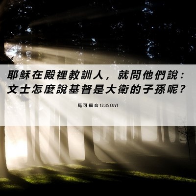 Picture 06 - 馬 可 福 音 12:35 CUVT - 耶 穌 在 殿 裡 教 訓 人 ， 就 問 他 - Bible Verse Picture