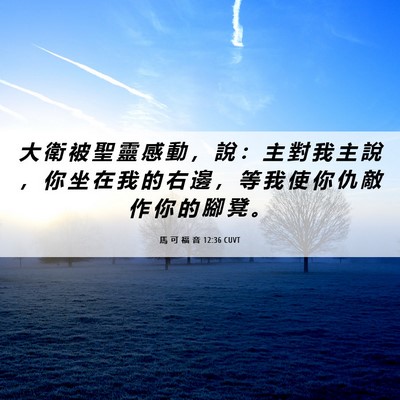 Picture 06 - 馬 可 福 音 12:36 CUVT - 大 衛 被 聖 靈 感 動 ， 說 ： 主 對 - Bible Verse Picture