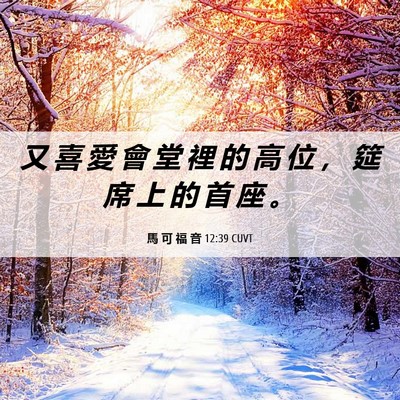 Picture 06 - 馬 可 福 音 12:39 CUVT - 又 喜 愛 會 堂 裡 的 高 位 ， 筵 席 - Bible Verse Picture