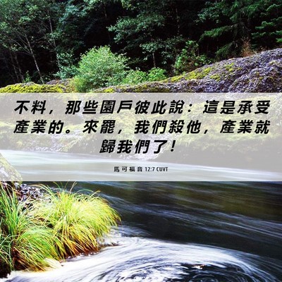 Picture 06 - 馬 可 福 音 12:7 CUVT - 不 料 ， 那 些 園 戶 彼 此 說 ： 這 - Bible Verse Picture