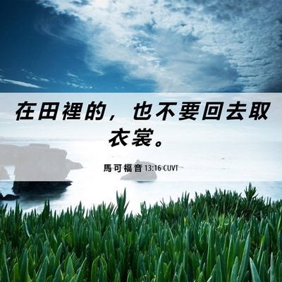 Picture 06 - 馬 可 福 音 13:16 CUVT - 在 田 裡 的 ， 也 不 要 回 去 取 衣 - Bible Verse Picture