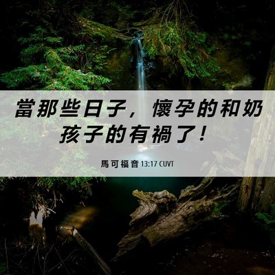 Picture 06 - 馬 可 福 音 13:17 CUVT - 當 那 些 日 子 ， 懷 孕 的 和 奶 孩 - Bible Verse Picture