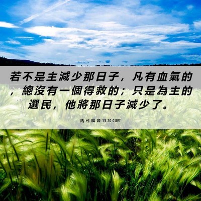 Picture 06 - 馬 可 福 音 13:20 CUVT - 若 不 是 主 減 少 那 日 子 ， 凡 有 - Bible Verse Picture