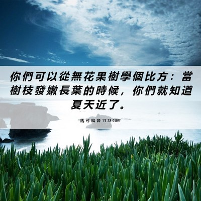 Picture 06 - 馬 可 福 音 13:28 CUVT - 你 們 可 以 從 無 花 果 樹 學 個 比 - Bible Verse Picture