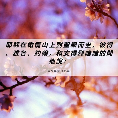Picture 06 - 馬 可 福 音 13:3 CUVT - 耶 穌 在 橄 欖 山 上 對 聖 殿 而 坐 - Bible Verse Picture