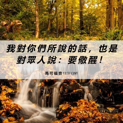 Picture 06 - 馬 可 福 音 13:37 CUVT - 我 對 你 們 所 說 的 話 ， 也 是 對 - Bible Verse Picture