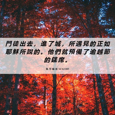 Picture 06 - 馬 可 福 音 14:16 CUVT - 門 徒 出 去 ， 進 了 城 ， 所 遇 見 - Bible Verse Picture