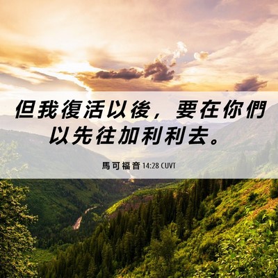 Picture 06 - 馬 可 福 音 14:28 CUVT - 但 我 復 活 以 後 ， 要 在 你 們 以 - Bible Verse Picture