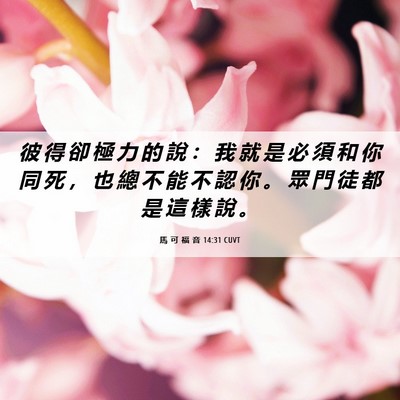 Picture 06 - 馬 可 福 音 14:31 CUVT - 彼 得 卻 極 力 的 說 ： 我 就 是 必 - Bible Verse Picture