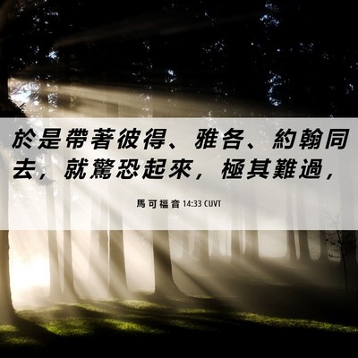 Picture 06 - 馬 可 福 音 14:33 CUVT - 於 是 帶 著 彼 得 、 雅 各 、 約 翰 - Bible Verse Picture