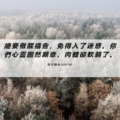 Picture 06 - 馬 可 福 音 14:38 CUVT - 總 要 儆 醒 禱 告 ， 免 得 入 了 迷 - Bible Verse Picture