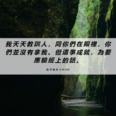 Picture 06 - 馬 可 福 音 14:49 CUVT - 我 天 天 教 訓 人 ， 同 你 們 在 殿 - Bible Verse Picture
