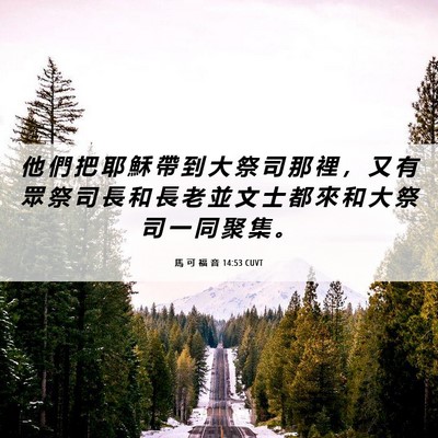 Picture 06 - 馬 可 福 音 14:53 CUVT - 他 們 把 耶 穌 帶 到 大 祭 司 那 裡 - Bible Verse Picture