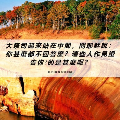 Picture 06 - 馬 可 福 音 14:60 CUVT - 大 祭 司 起 來 站 在 中 間 ， 問 耶 - Bible Verse Picture