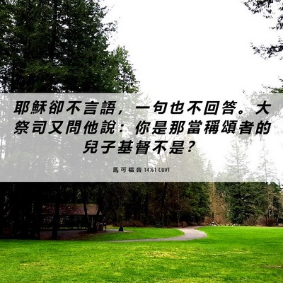Picture 06 - 馬 可 福 音 14:61 CUVT - 耶 穌 卻 不 言 語 ， 一 句 也 不 回 - Bible Verse Picture