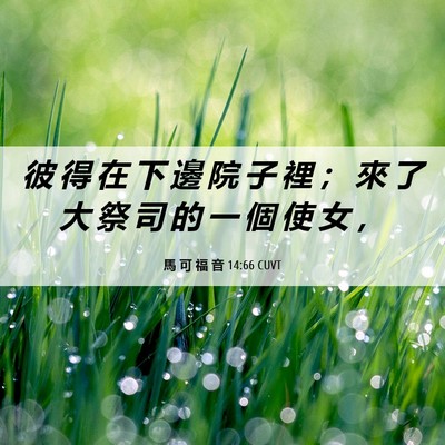 Picture 06 - 馬 可 福 音 14:66 CUVT - 彼 得 在 下 邊 院 子 裡 ； 來 了 大 - Bible Verse Picture