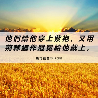 Picture 06 - 馬 可 福 音 15:17 CUVT - 他 們 給 他 穿 上 紫 袍 ， 又 用 荊 - Bible Verse Picture