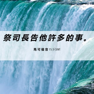 Picture 06 - 馬 可 福 音 15:3 CUVT - 祭 司 長 告 他 許 多 的 事 - Bible Verse Picture